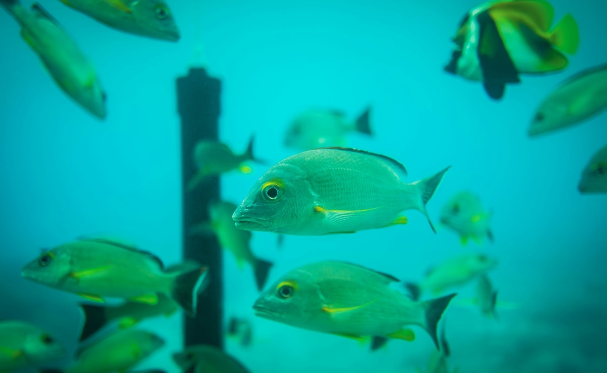 Latest and Breaking News on NDTV Latest and Breaking News on NDTV