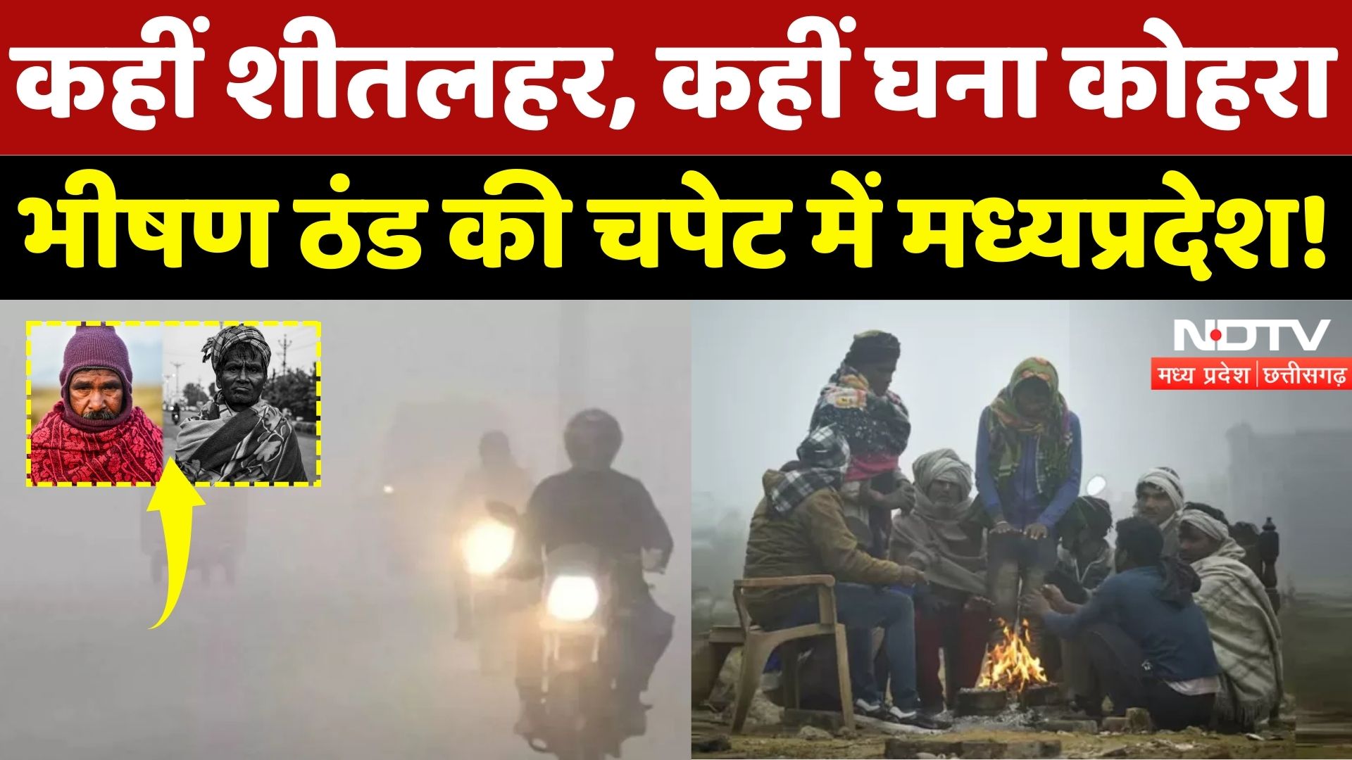 MP Weather News: मध्य प्रदेश में ठंड का डबल अटैक! | Cold Wave | Winter | IMD Alert | Latest News