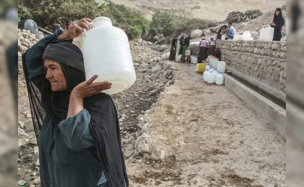 Latest and Breaking News on NDTV Latest and Breaking News on NDTV