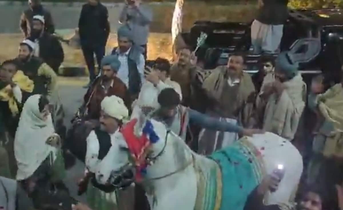 Watch: Internet Stunned By Pakistans Extravagant Celebrations Of U19 Asia Cup Triumph