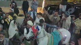 Watch: Internet Stunned By Pakistan's Extravagant Celebrations Of U19 Asia Cup Triumph