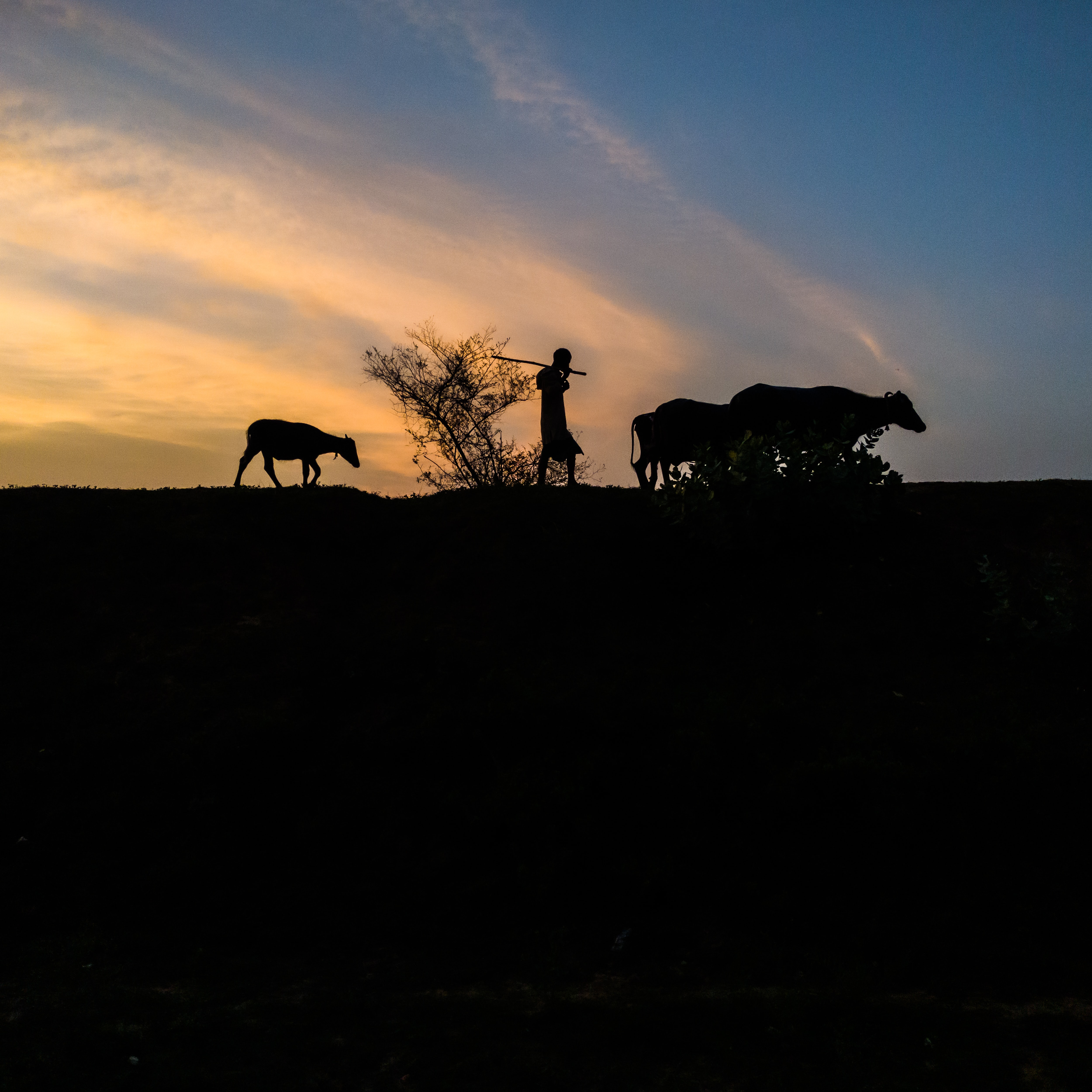 Rural-Focused Companies Are Top Picks Amid Recovery, Says Ridham Desai