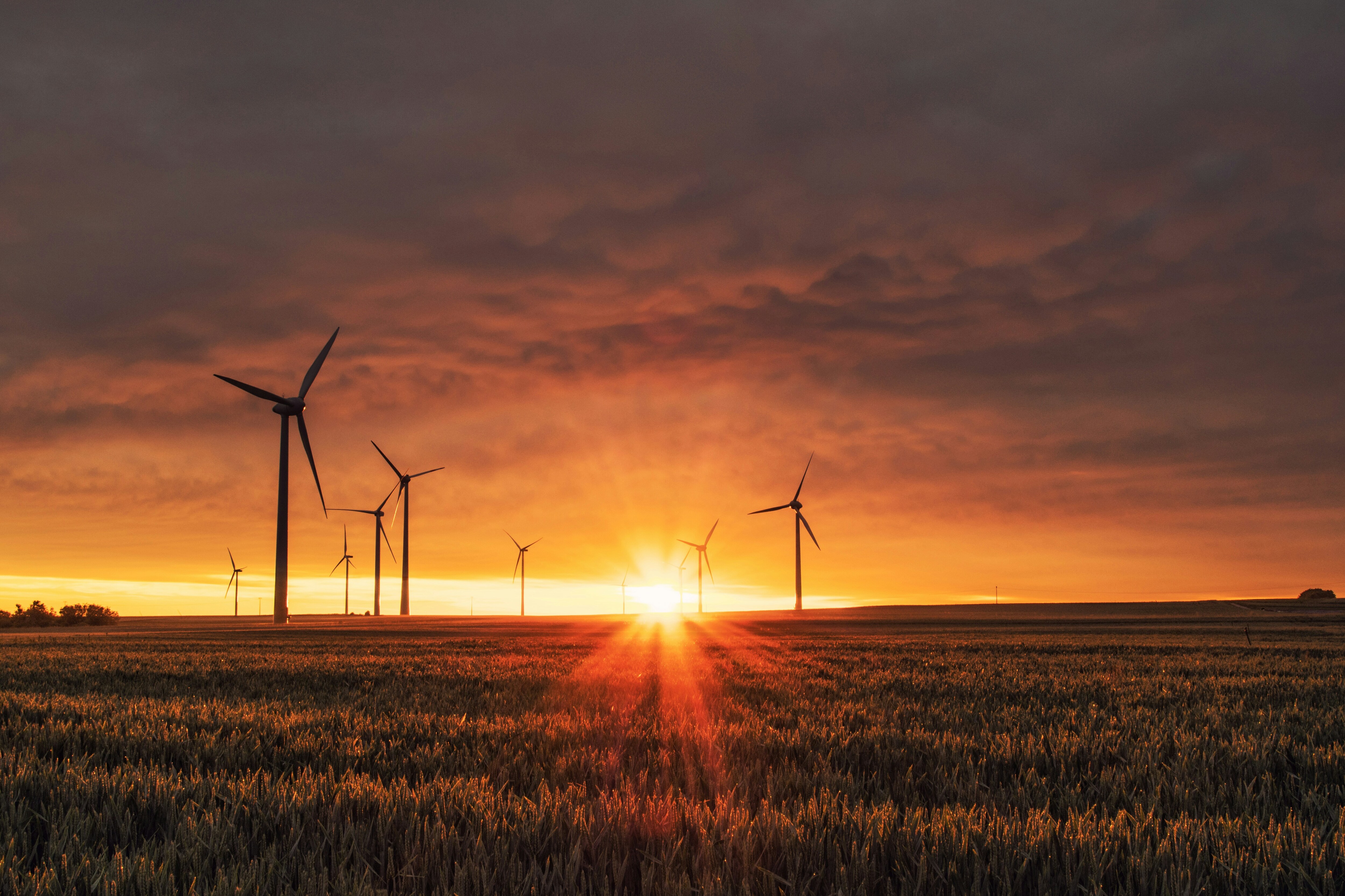 Budget 2025: Power Sector Seeks Incentives For Grid Scale Batteries, Latest Tech