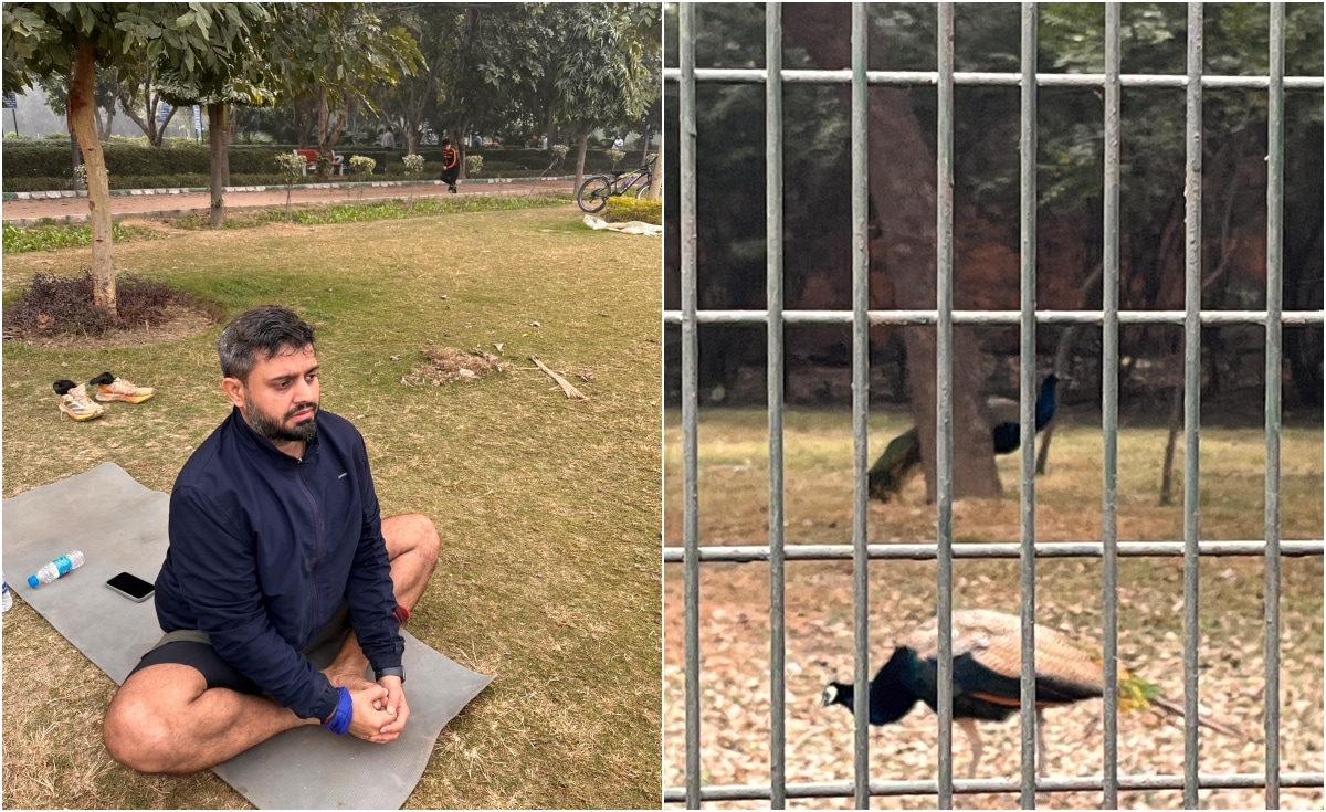 Latest and Breaking News on NDTV