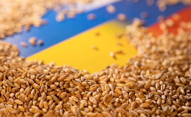 Wheat Prices Jump To 6-Month High Due To Limited Supply, Robust Demand