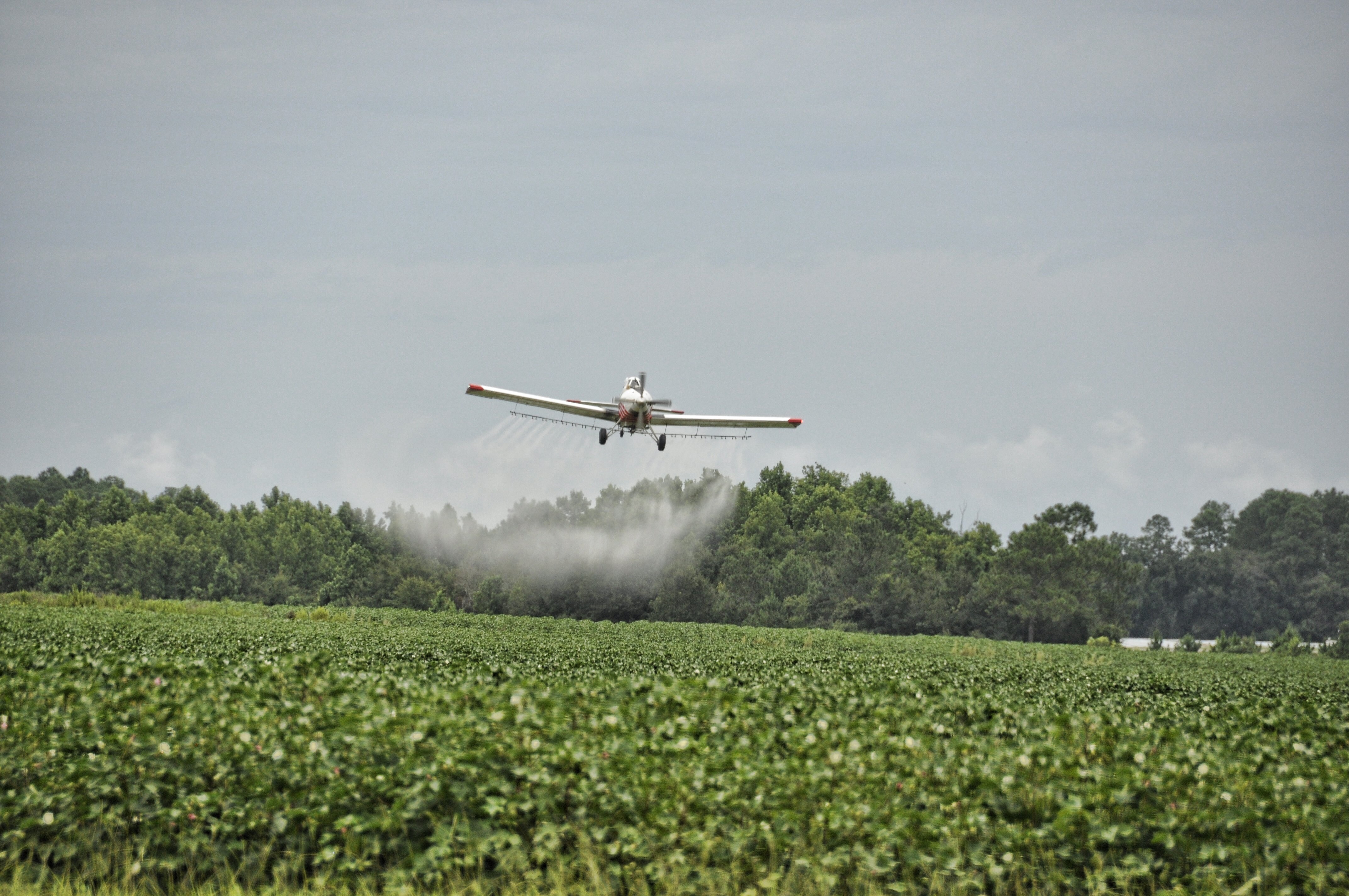 Agro Chemicals Q1 Earnings Preview -  Likely To Be Subdued; All Eyes On The Rains: Prabhudas Lilladher