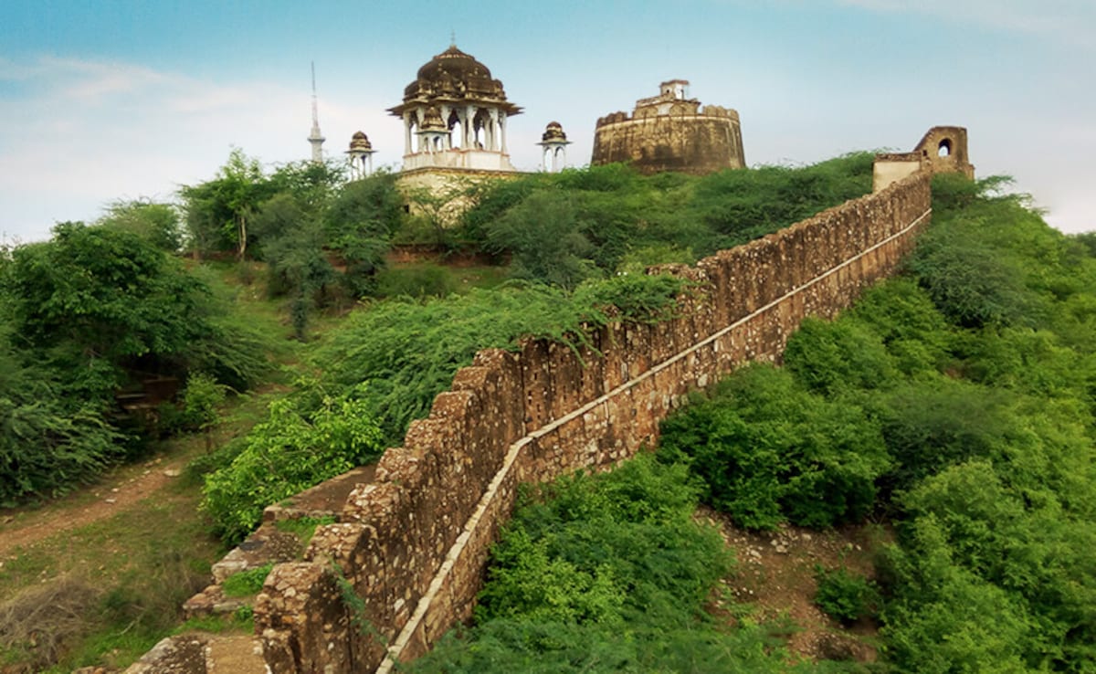 Latest and Breaking News on NDTV Latest and Breaking News on NDTV