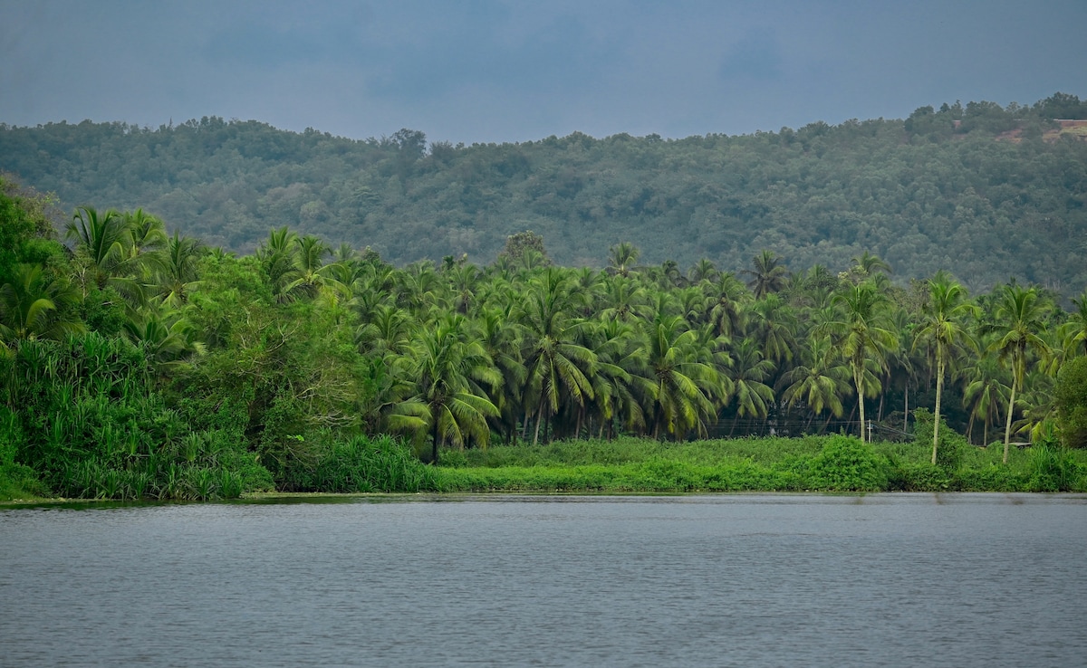 Latest and Breaking News on NDTV