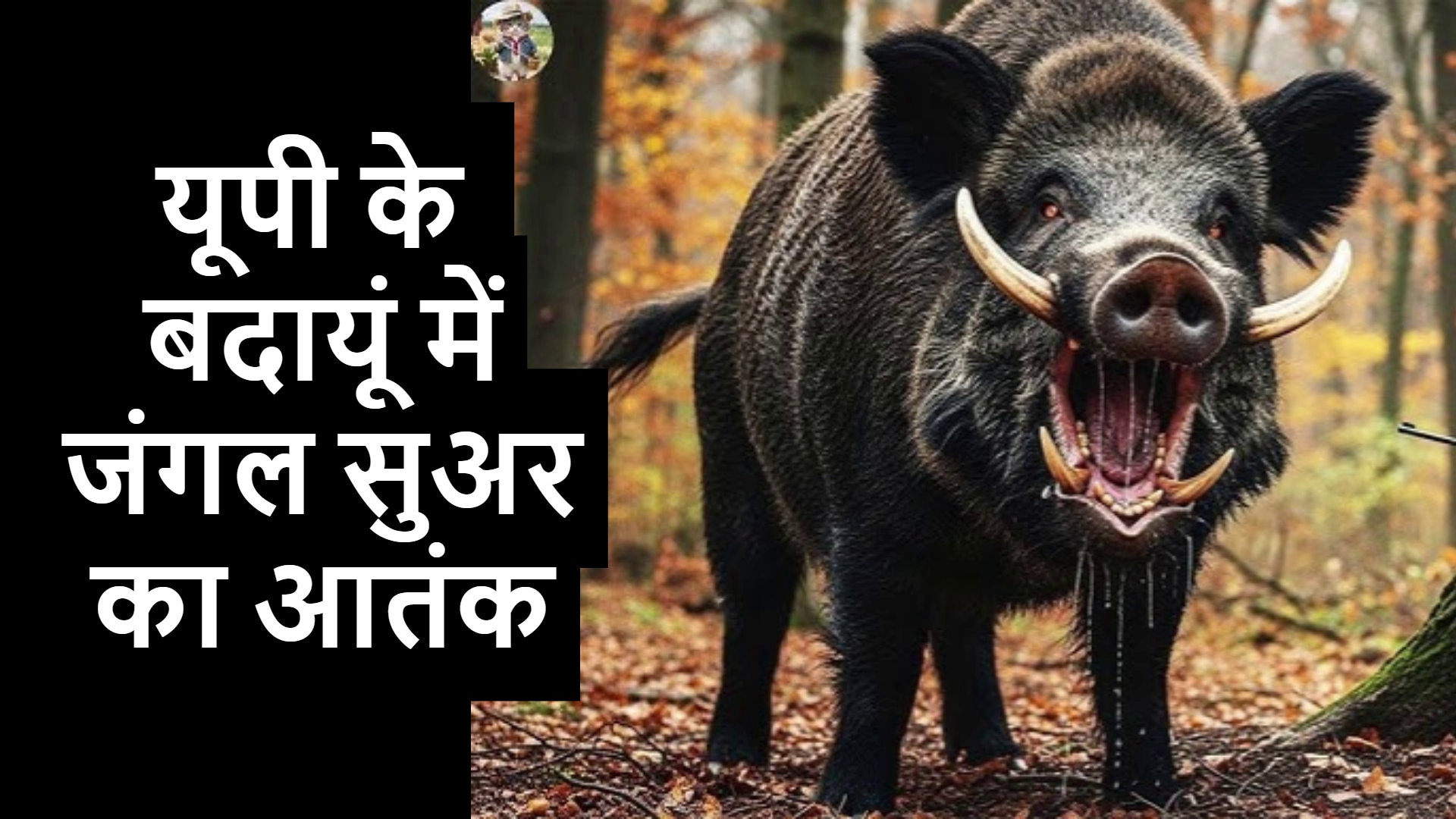 जंगली सूअर पकड़ने पहुंचे वन विभाग दरोगा पर हमला, देखें VIDEO