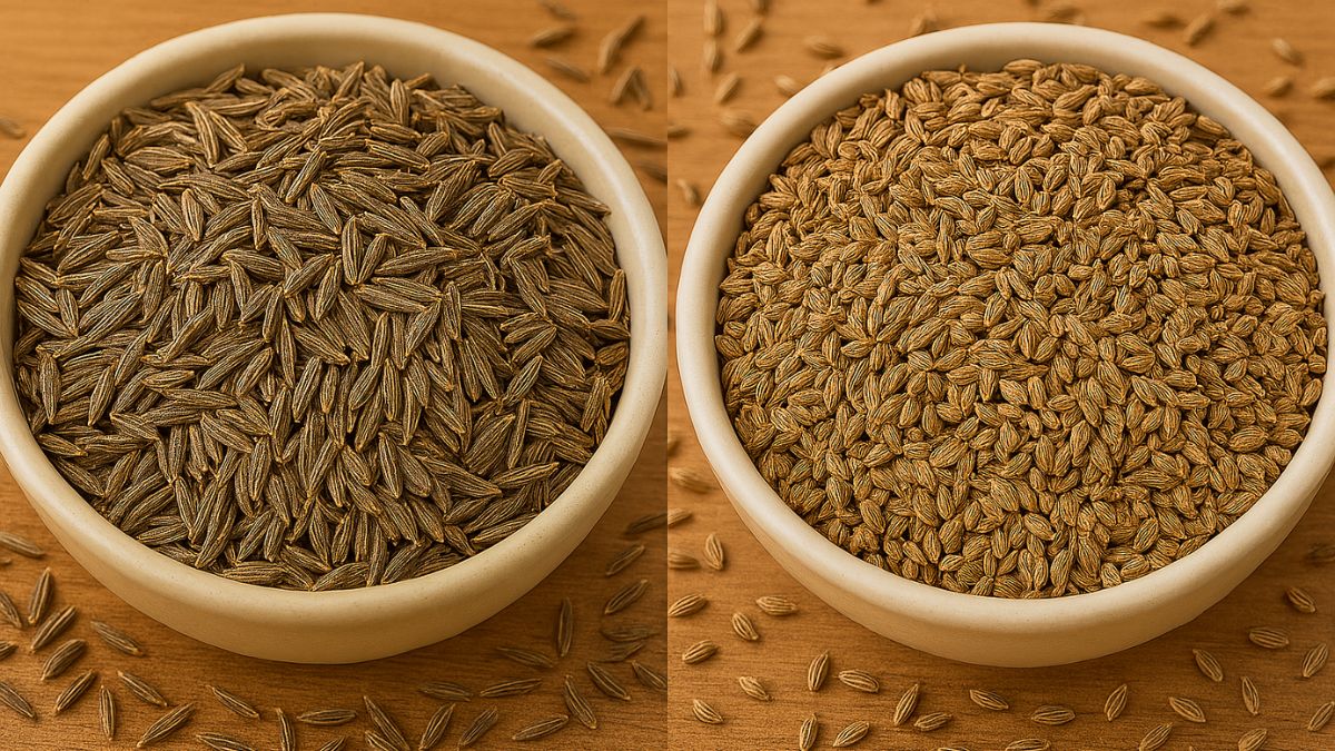 Jeera vs Ajwain: Which Spice Is Better For Your Digestive Health