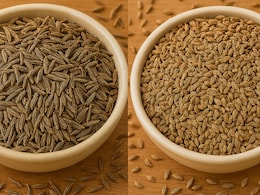 Jeera vs Ajwain: Which Spice Is Better For Your Digestive Health