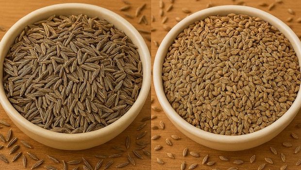 Jeera vs Ajwain: Which Spice Is Better For Your Digestive Health