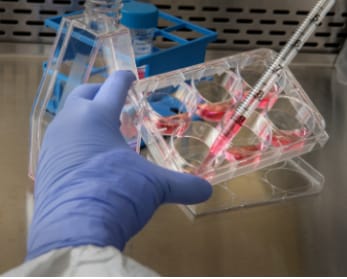 Dr. Reddy's Labs Recalls 3.3 Lakh Bottles Of Medication In US Due To Manufacturing Issues