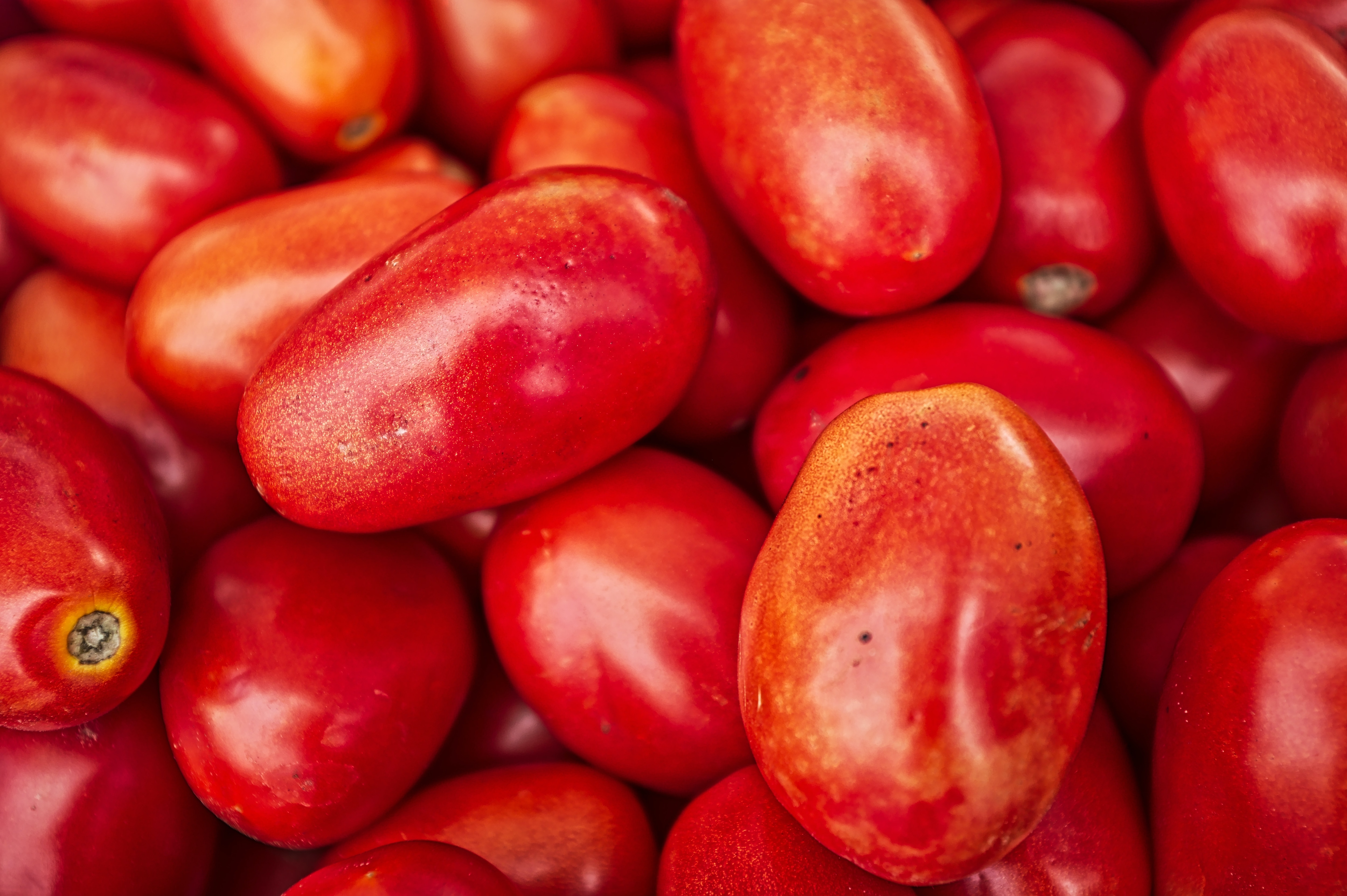 McDonald's Drops Tomatoes From Menu