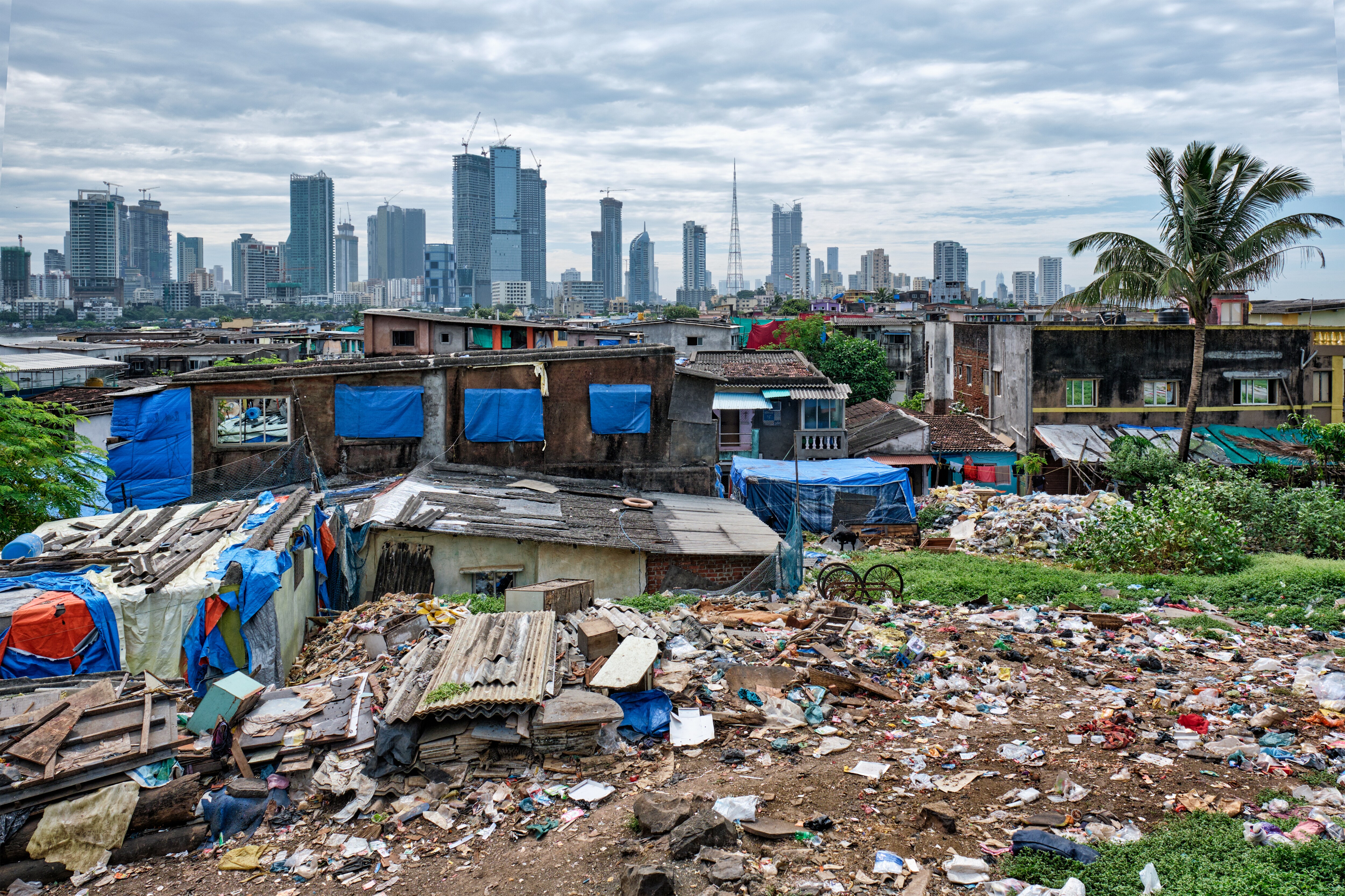 Rural And Urban Poverty Levels Drop Nearly 4% In FY24, Says SBI Report