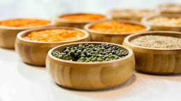 India's Protein Crisis: Study Reveals How The Country Is High On Grains, Low On Real Nutrition
