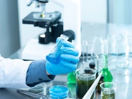 Top Scientific Discoveries Of 2025: A Year of Quantum Leaps And Cosmic Revelations