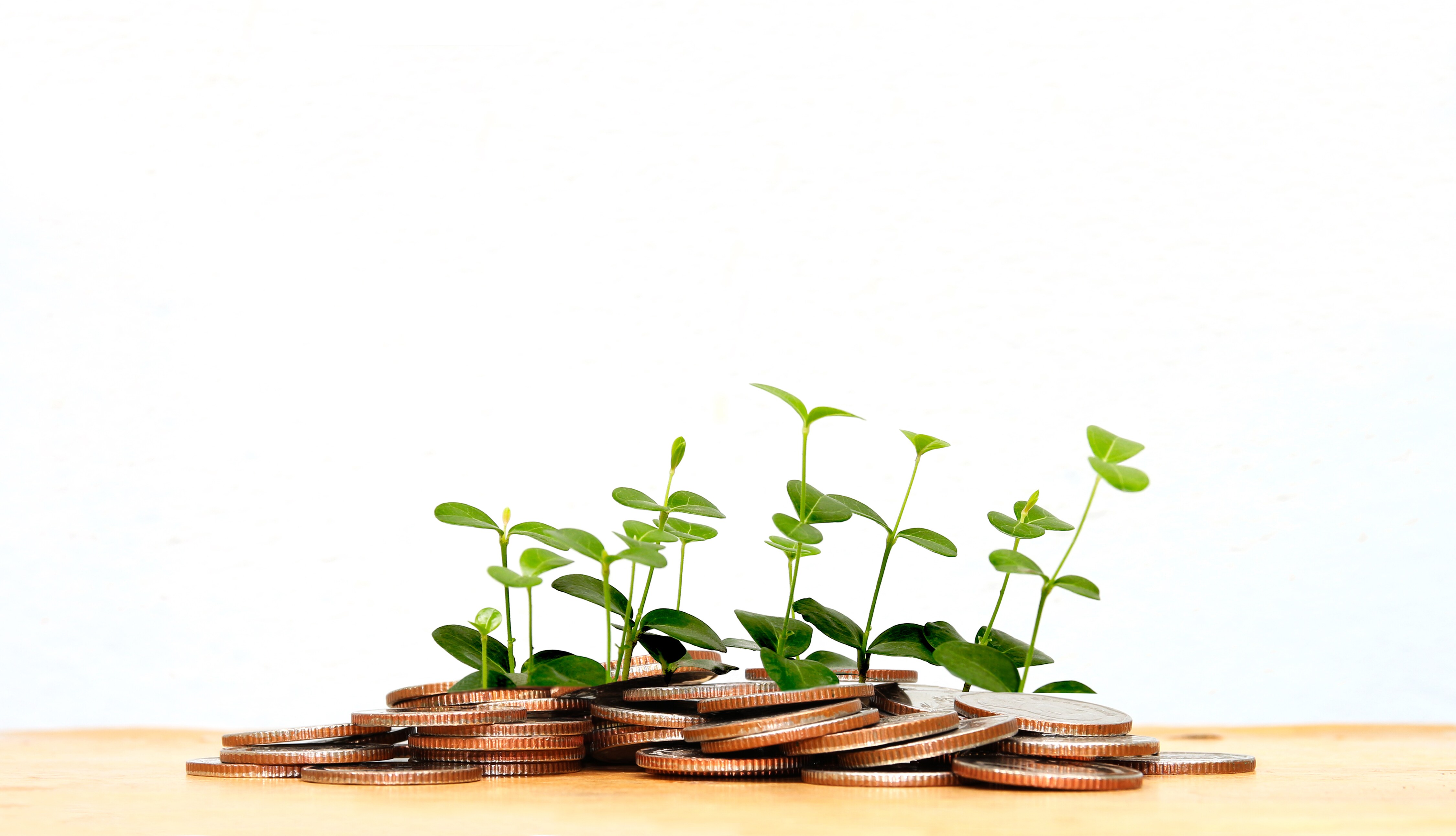 New Fund Offers This Week: Multi Cap, Thematic And Index Funds In Focus