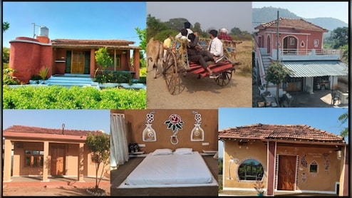 Gilli-Danda, Kites, Bullock Carts: This Madhya Pradesh Village Rings In New Year The Rustic Way