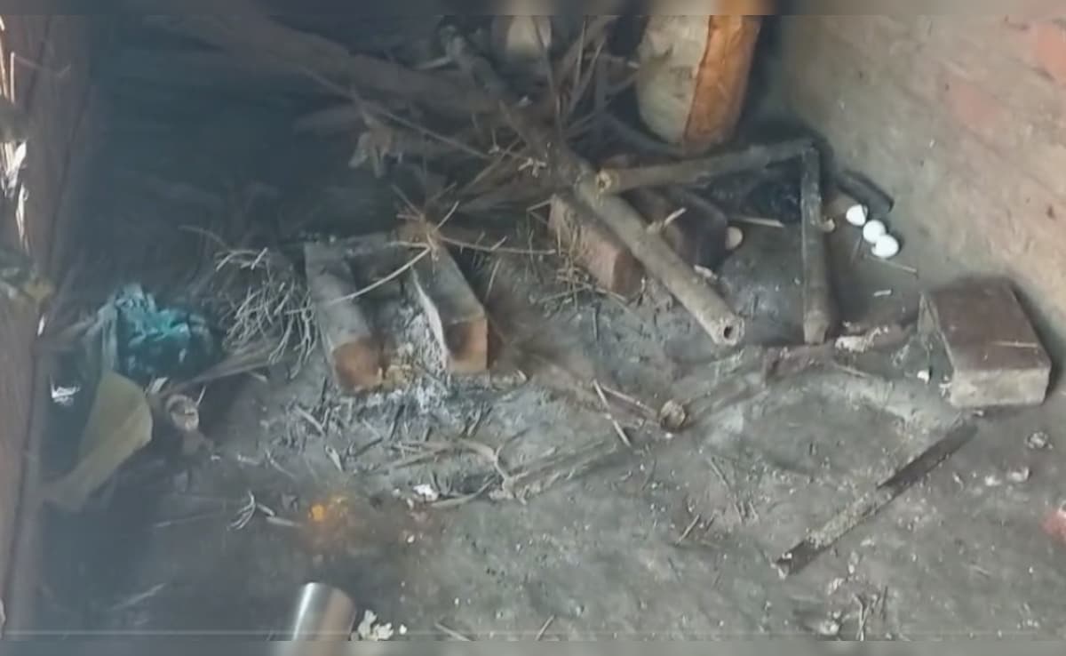 बेटियों ने रात में बनाई थी अंडे की सब्जी बेटियों ने रात में बनाई थी अंडे की सब्जी