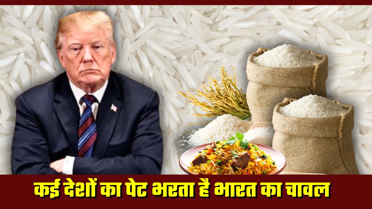 डियर ट्रंप! कई देशों का पेट भरता है भारतीय चावल, इसके बिना बेस्‍वाद हो जाएगी अमेरिका की बिरयानी