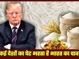 डियर ट्रंप! कई देशों का पेट भरता है भारतीय चावल, इसके बिना बेस्‍वाद हो जाएगी अमेरिका की बिरयानी