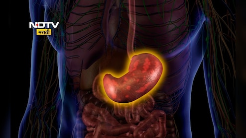 Acidity Bloating Relief Tips: पोटातील हवा कशी बाहेर काढावी? करा हे 3 उपाय, पोट फुगणं होईल बंद Acidity Bloating Relief Tips: पोटातील हवा कशी बाहेर काढावी? करा हे 3 उपाय, पोट फुगणं होईल बंद