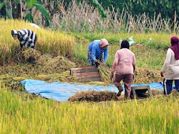 MP के किसानों के लिए खुशखबरी, मोहन सरकार शुरू करेगी &lsquo;लखपति एक बीघा किसान योजना&rsquo;, जानिए किसे होगा फायदा
