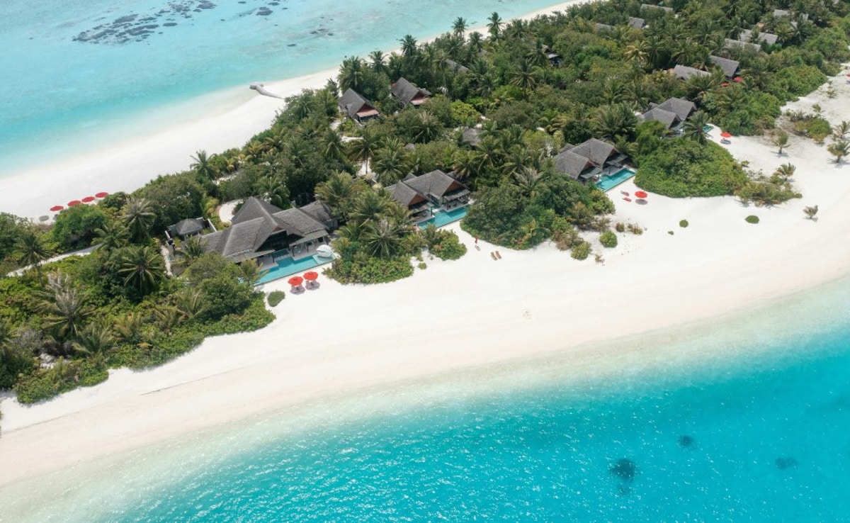 Latest and Breaking News on NDTV Latest and Breaking News on NDTV