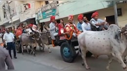 कपड़ा व्&zwj;यापारी की बैलगाड़ी से न&zwj;िकली बारात, सादगी से की शादी