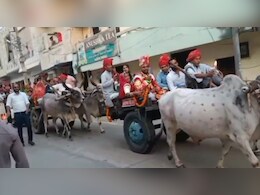 कपड़ा व्‍यापारी की बैलगाड़ी से न‍िकली बारात, सादगी से की शादी