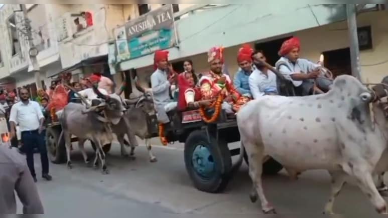 कपड़ा व्‍यापारी की बैलगाड़ी से न‍िकली बारात, सादगी से की शादी