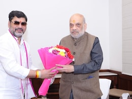 Dhananjay Munde : कोकाटेंना दणका, मुंडेंना संधी? राष्ट्रवादीत खळबळ; शाह-मुंडे भेटीने राजकीय समीकरणे बदलणार!