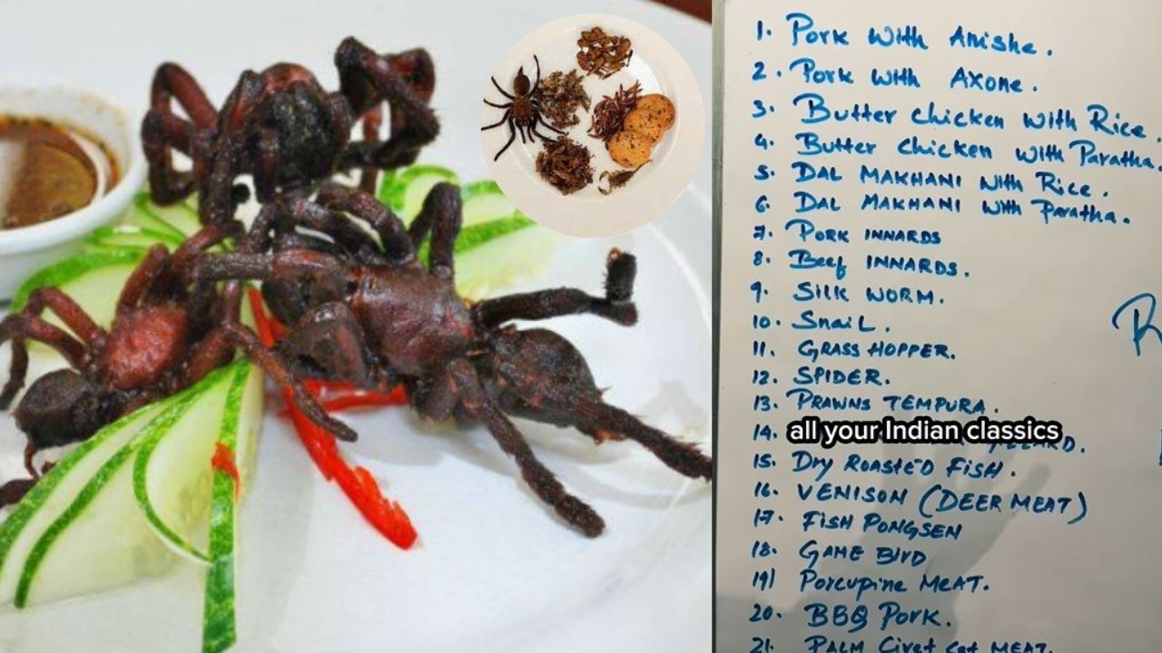 टिड्डा, मकड़ी और बिल्ली का मीट...नागालैंड के खाने का मेन्यू देख फिरंगी के उड़ गए तोते