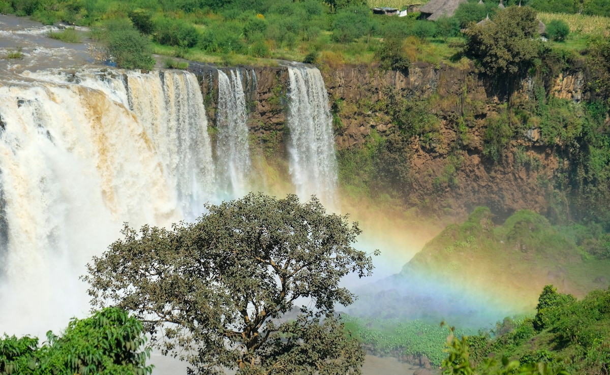 Latest and Breaking News on NDTV Latest and Breaking News on NDTV