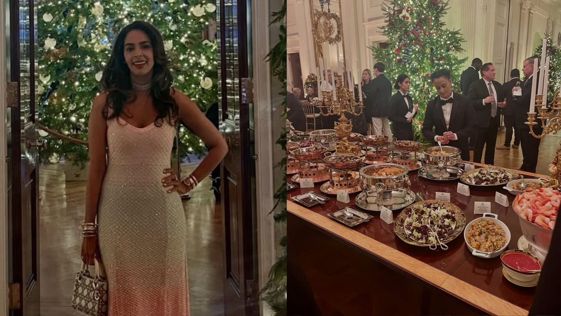 Mallika Sherawat Shares Pics From White House Christmas Dinner In US, Fans Wonder Who Invited Her