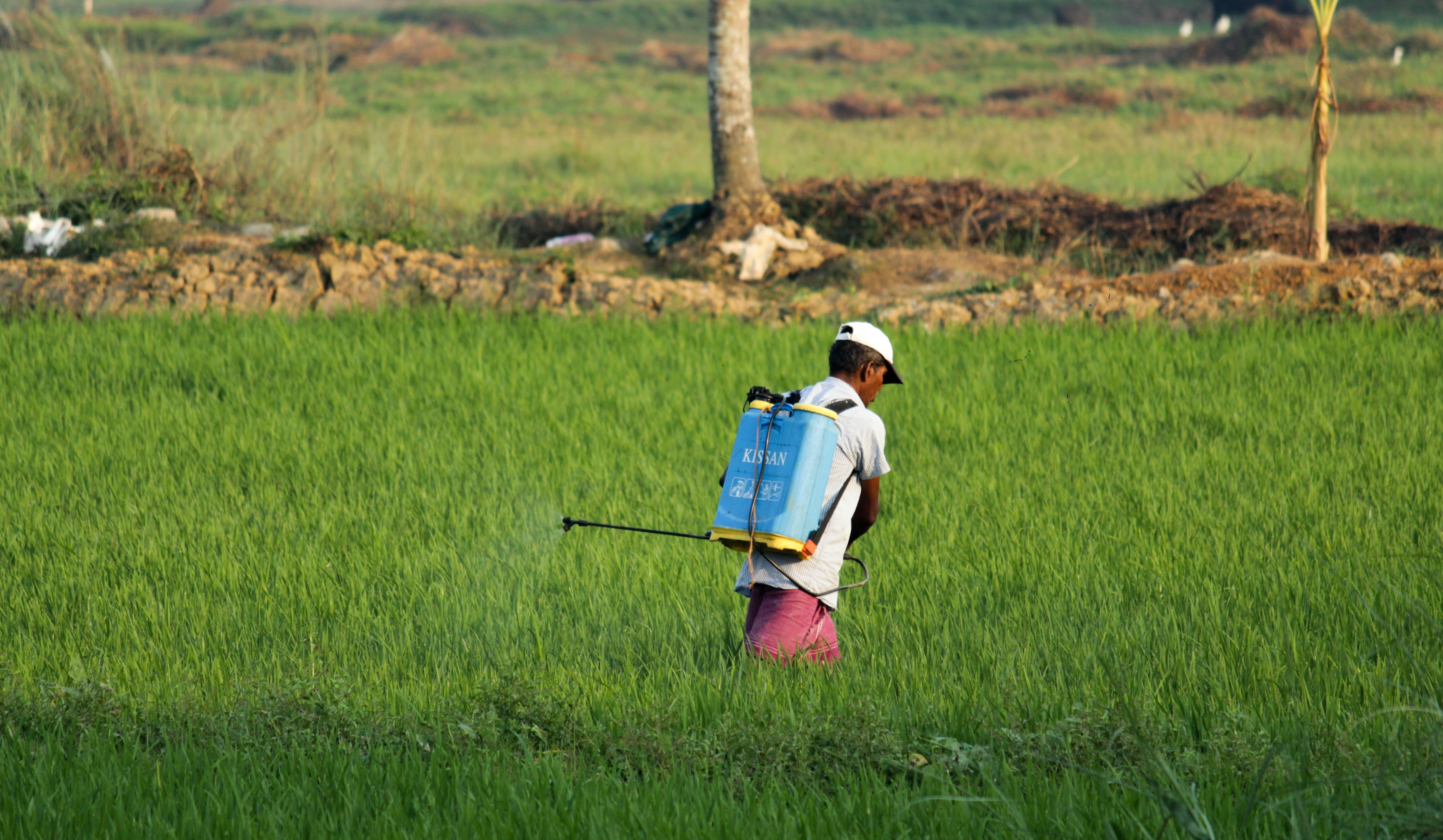 Coromandel International Buys 53% Stake In NACL Industries For Rs 820 Crore