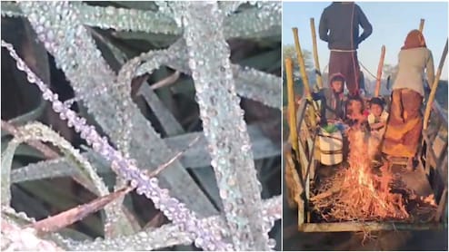 Betul weather: 7 डिग्री पहुंचा तापमान, पौधों पर बर्फ जमी, बैलगाड़ी पर आग जलाकर चलते नजर आए मजदूर