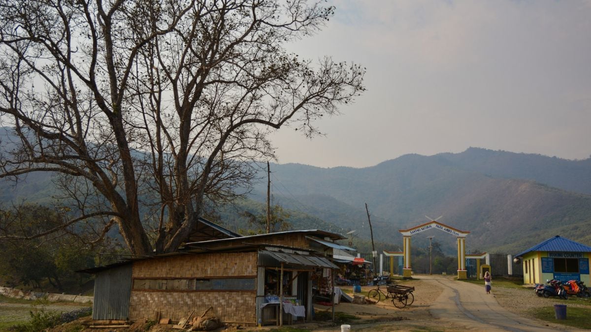 Latest and Breaking News on NDTV Latest and Breaking News on NDTV