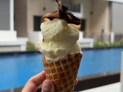 Watch: Biryani Ice Cream? This Bizarre Fusion Dessert Has Social Media Talking