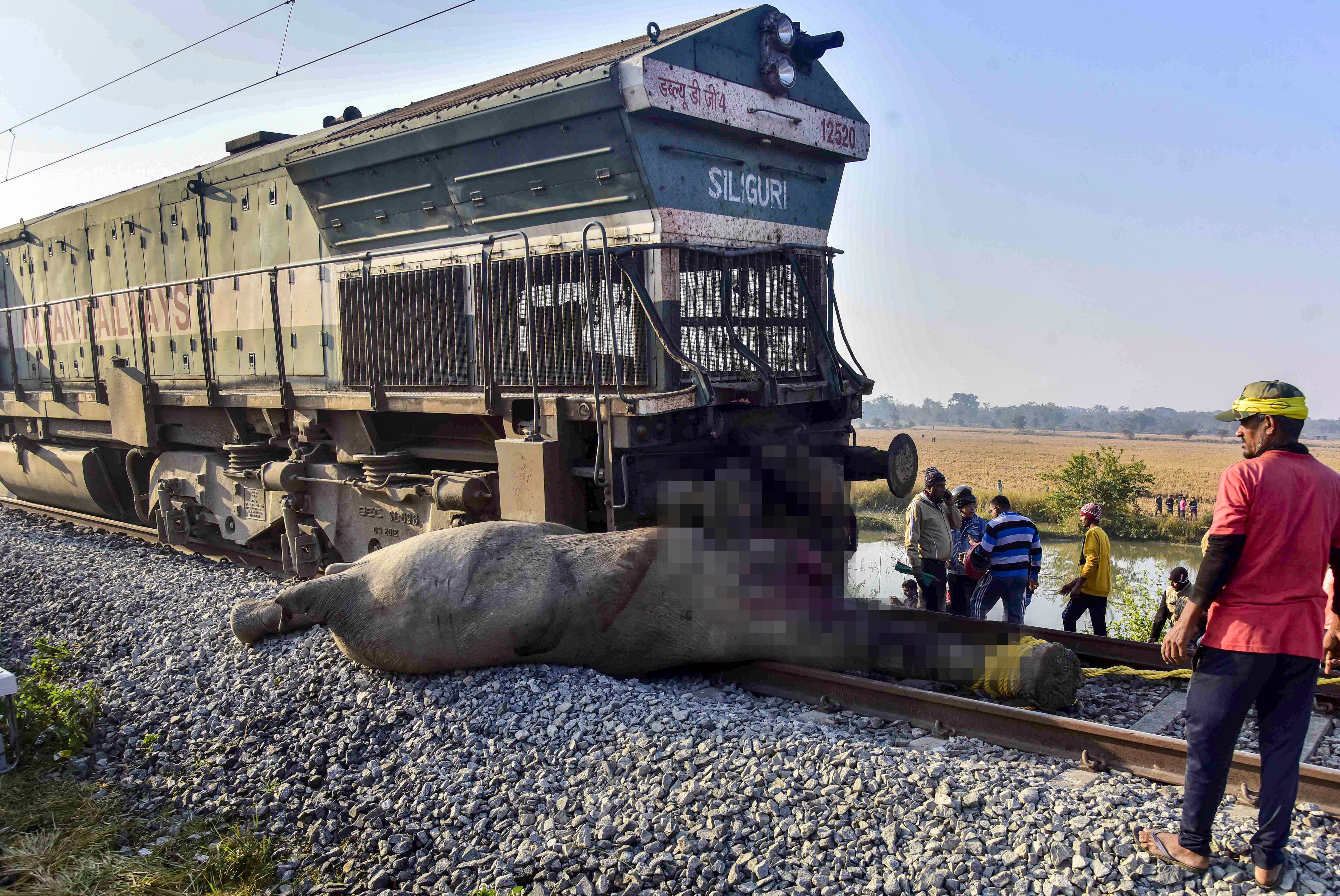 Sairang-New Delhi Rajdhani Express Mows Down Eight Elephants In Assam