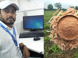 45 हजार की नौकरी छूटी तो सफेद मूसली से कमाने लगे 50 लाख रुपए, इंजीनियर राहुल ने कैसे कर द&zwj;िखाया कमाल?