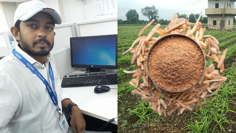 45 हजार की नौकरी छूटी तो सफेद मूसली से कमाने लगे 50 लाख रुपए, इंजीनियर राहुल ने कैसे कर द&zwj;िखाया कमाल?