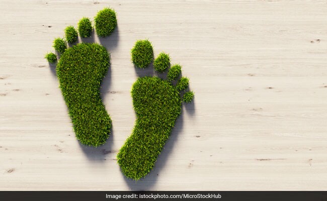 Green Financing Is The "Need Of The Hour," Says PM: Report