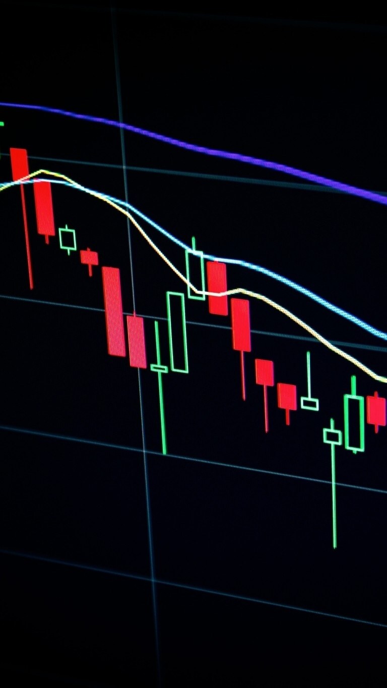Stock Market Highlights: Sensex, Nifty Gainers And Losers &mdash; Feb. 8