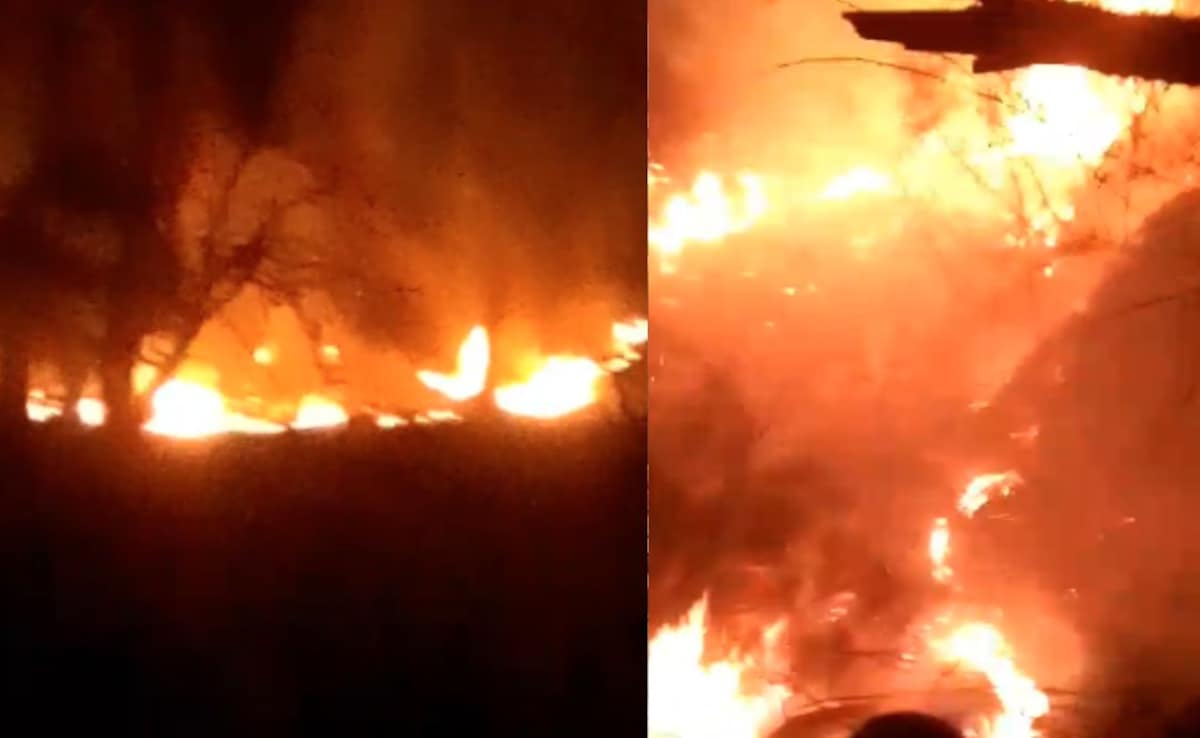 Video: Dry Spell, Winds Fuel Massive Forest Fire In J&K's Kishtwar