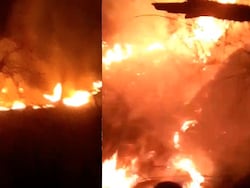 Video: Dry Spell, Winds Fuel Massive Forest Fire In J&amp;K's Kishtwar
