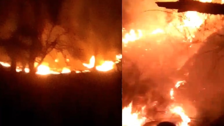 Video: Dry Spell, Winds Fuel Massive Forest Fire In J&K's Kishtwar