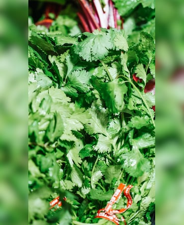 Health Benefits Of Dried Coriander Leaves