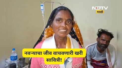 Nashik News: पतीसाठी पत्नीची जीवाची बाजी!, 2 बिबट्यांसोबत एकटी भिडली, शेवटपर्यंत नडली, शेवटी अखेर...